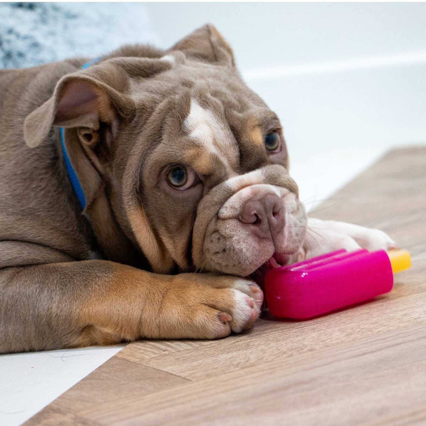 Small Bite Cooling Ice Lolly Teether