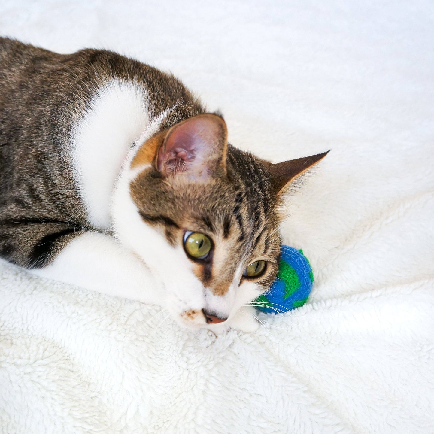Cats For The Planet Eco Toys - Set of 3