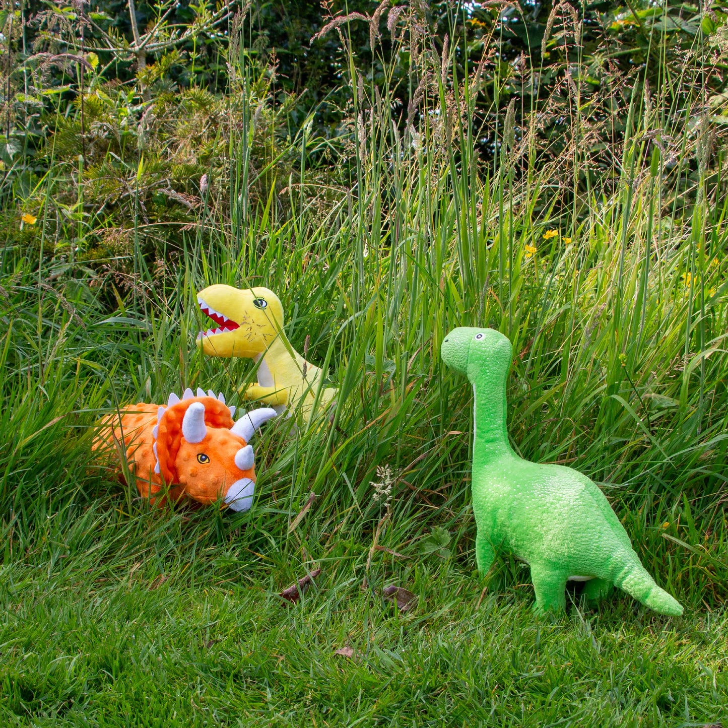 Play Time For Dogs - Cuddle Roarsome Dino