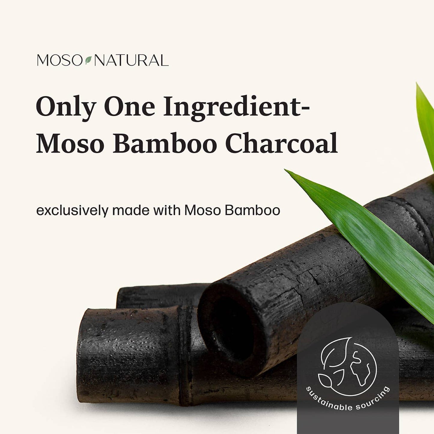 Car Odor Eliminator & Air Freshener w/ Bamboo Charcoal