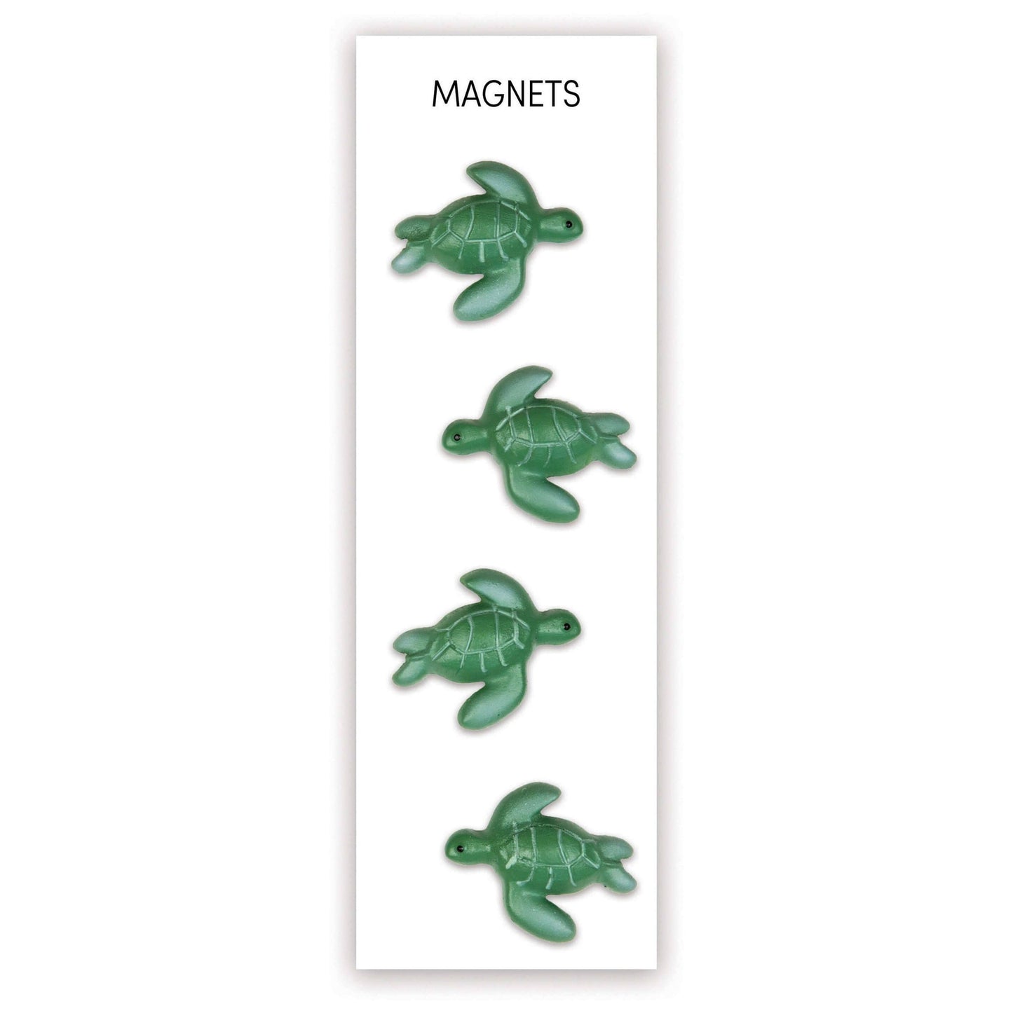 Turtle magnets