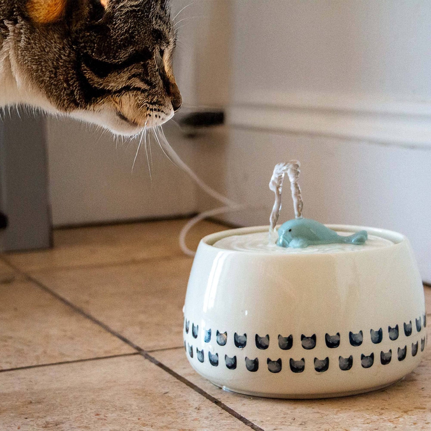 Whale Cat Water Fountain