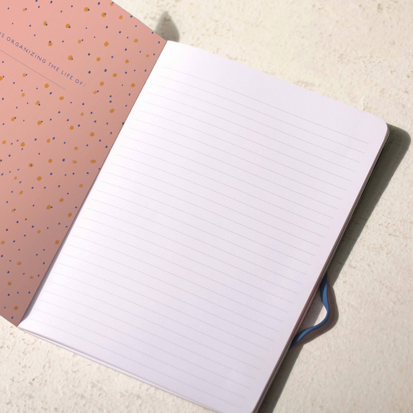 Dogs Seedlings Sewn Trio Notebook Set | STN94863