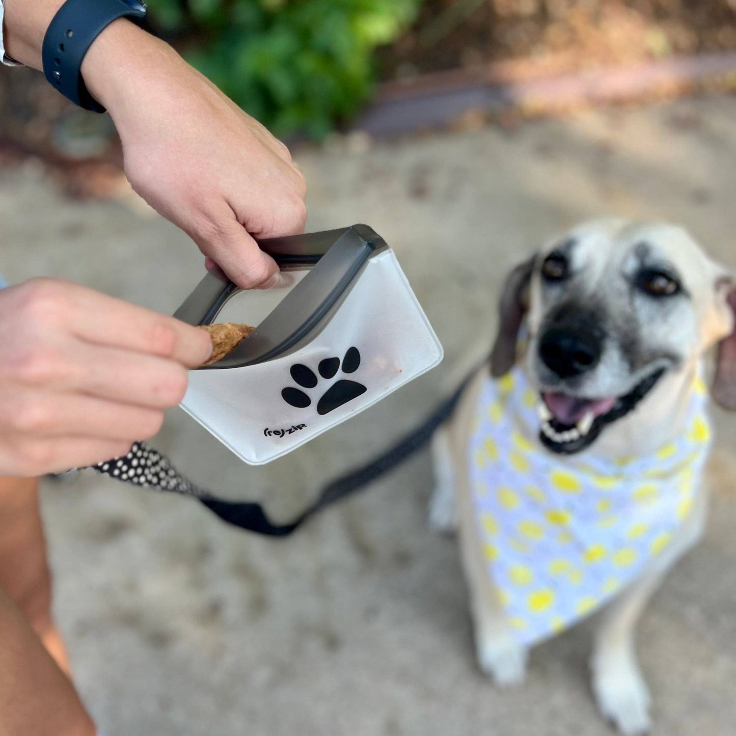 Take Me Too Pet Bag w/ Carabiner