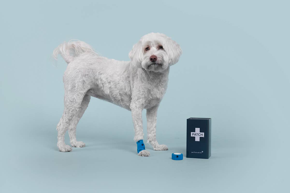PATCH - Eco First Aid - PATCH Pet Eco First-Aid Kit for Pets