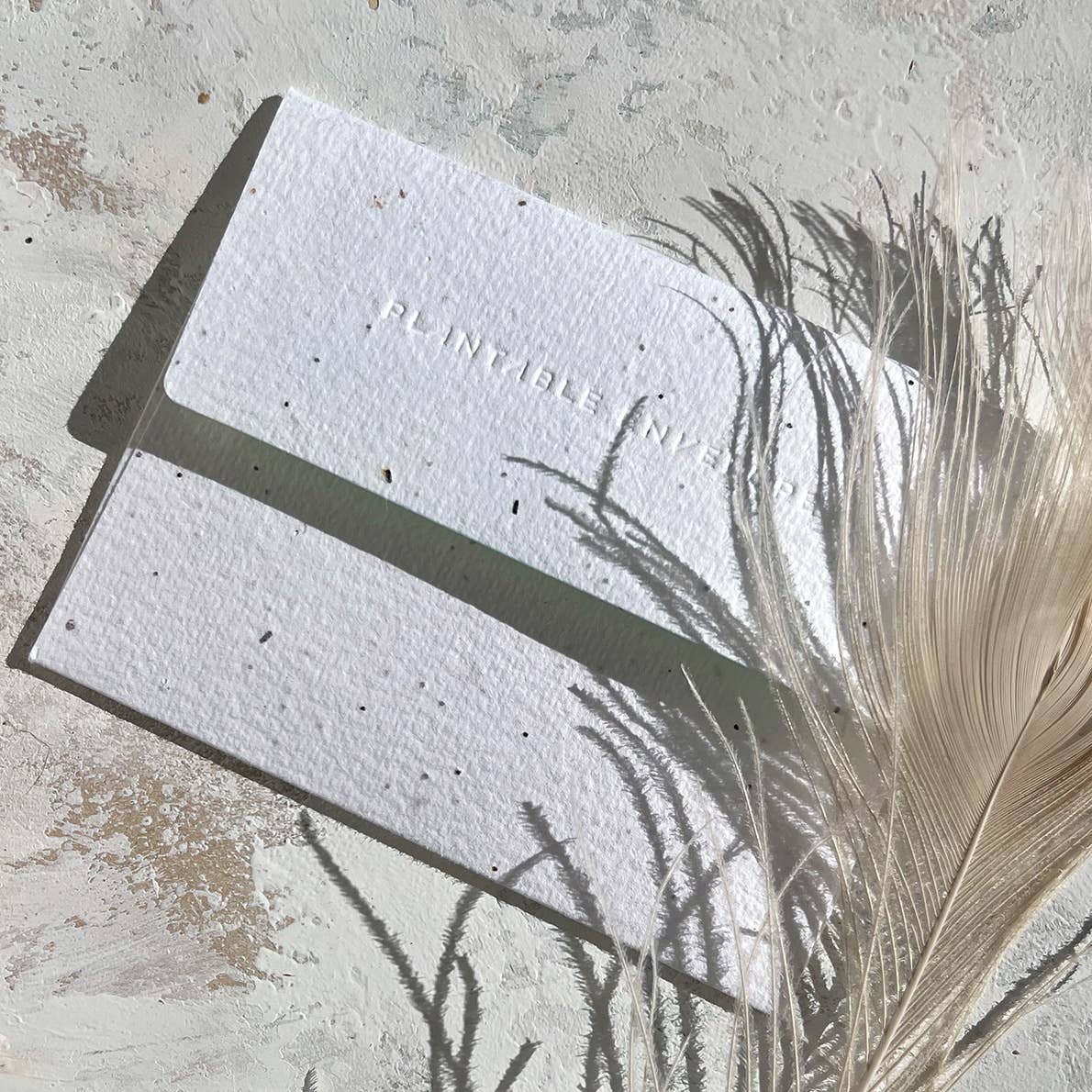 River Bank - Sympathy Card