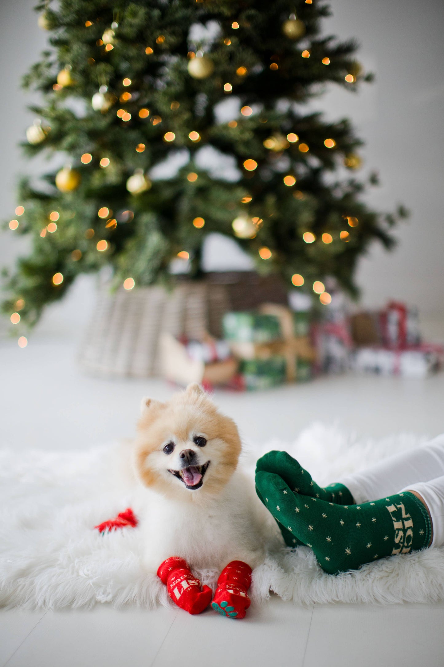 Pearhead - Nice & Naughty List Human & Dog Christmas Sock Set