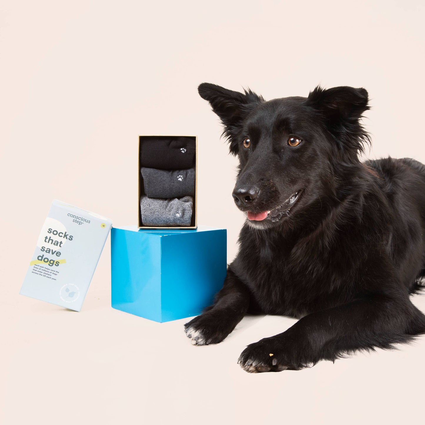 Conscious Step - Boxed Set Ankle Socks that Save Dogs