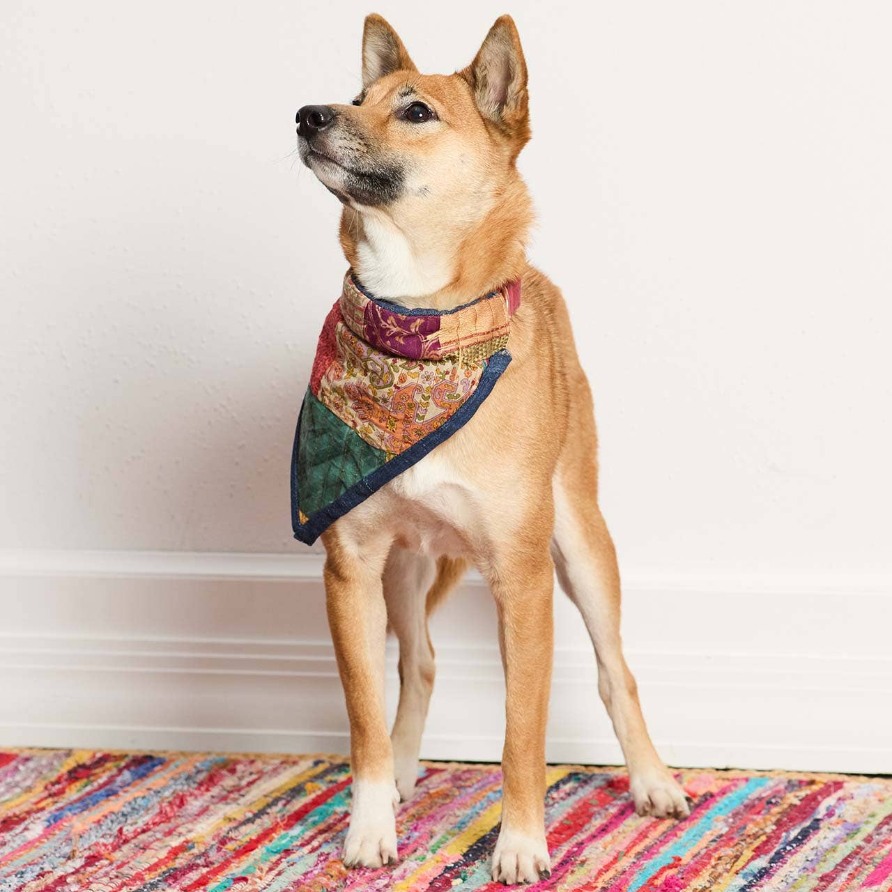 SERRV International - Small Upcycled Sari Pet Bandana