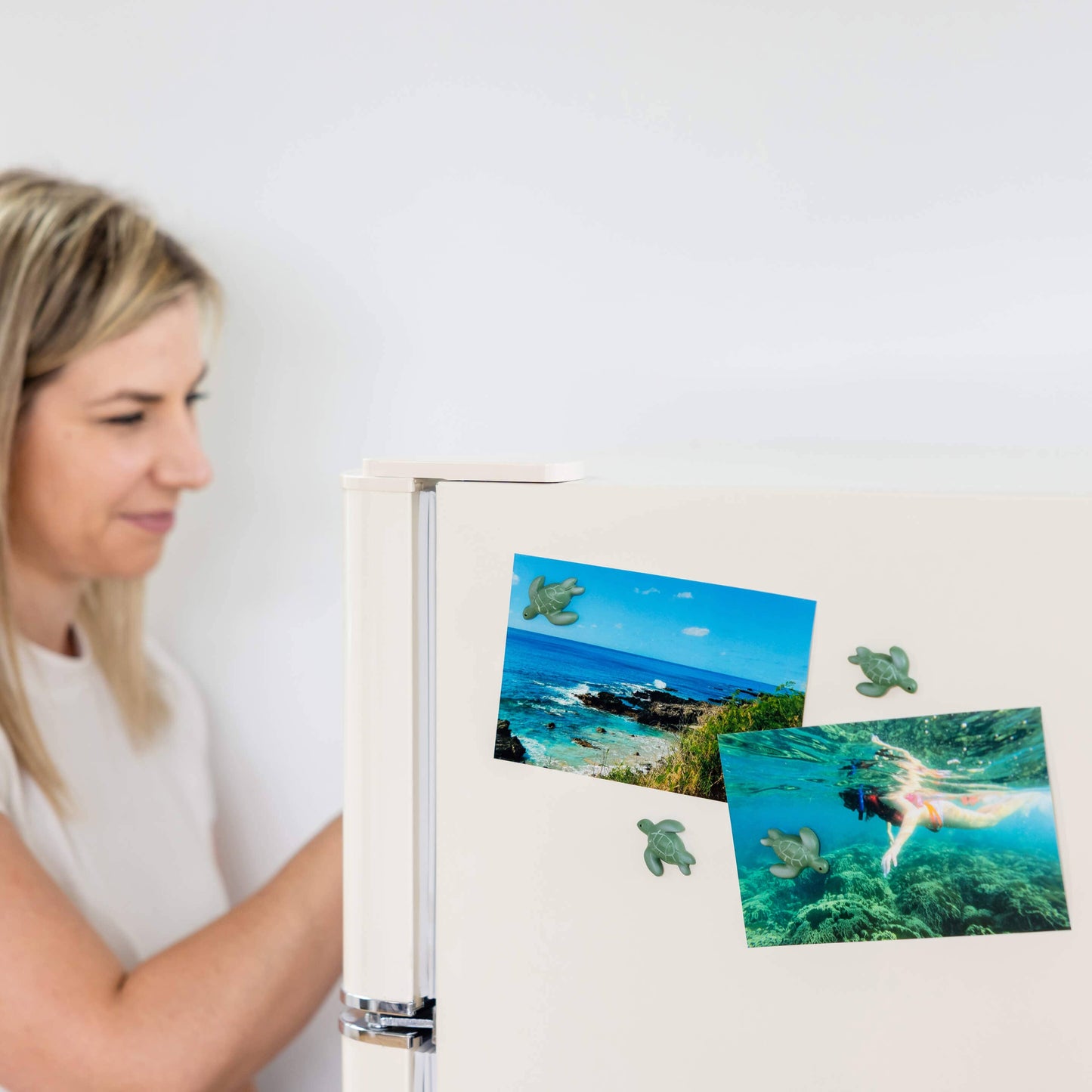 Turtle magnets