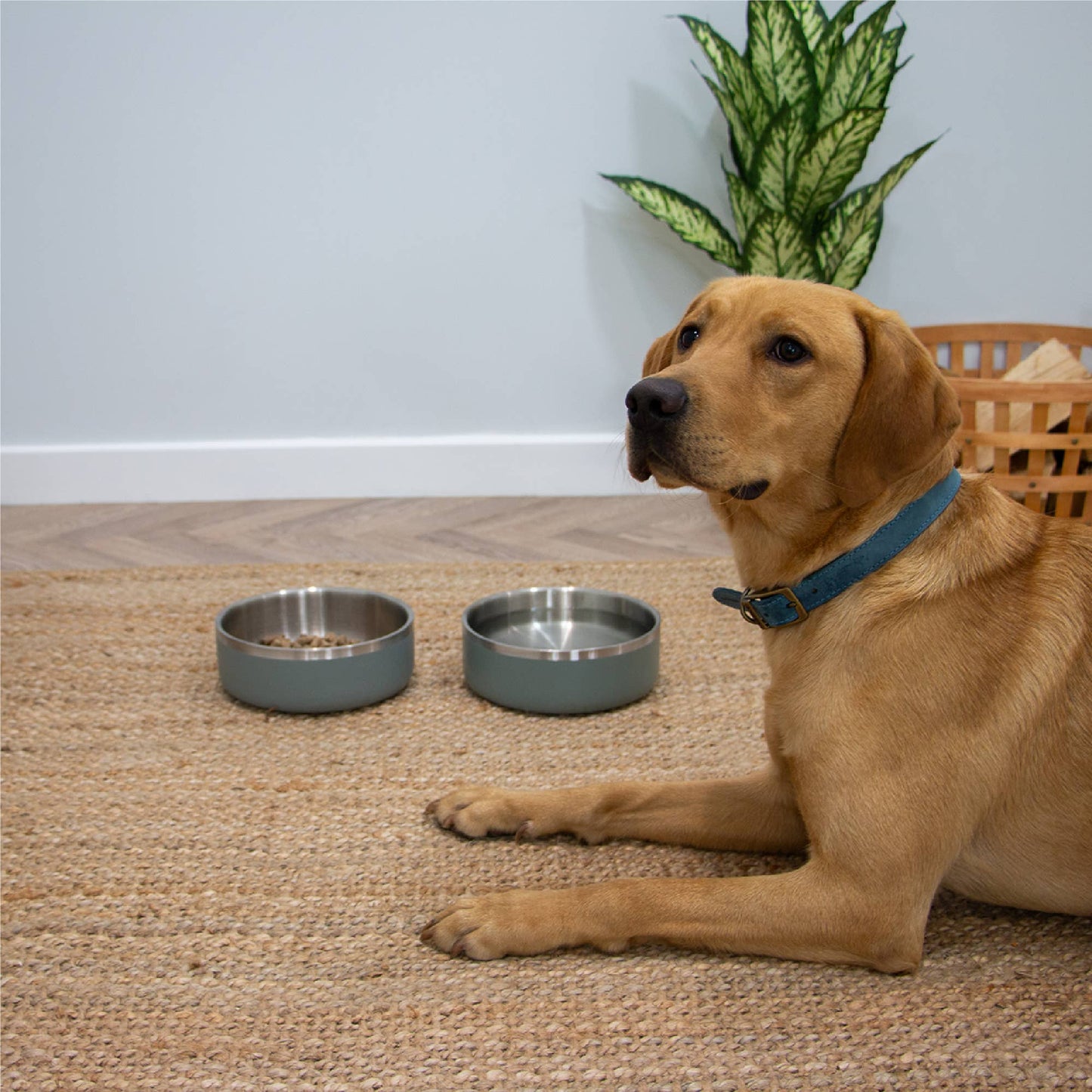 Double Wall Stainless Steel Bowl Sage Green