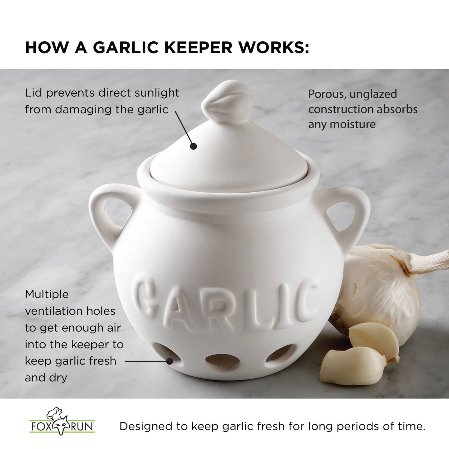 Fox Run Brands - Fox Run Ceramic Garlic Keeper, White, 5.75" x 5.25" x 5.5"