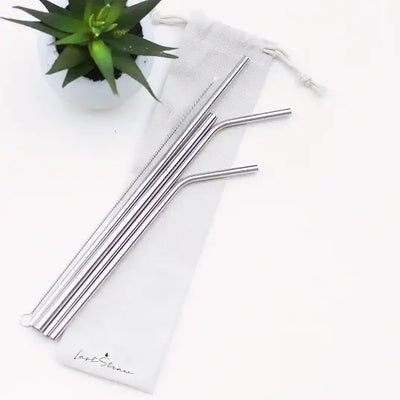 Silver Stainless Steel Metal Straw Set