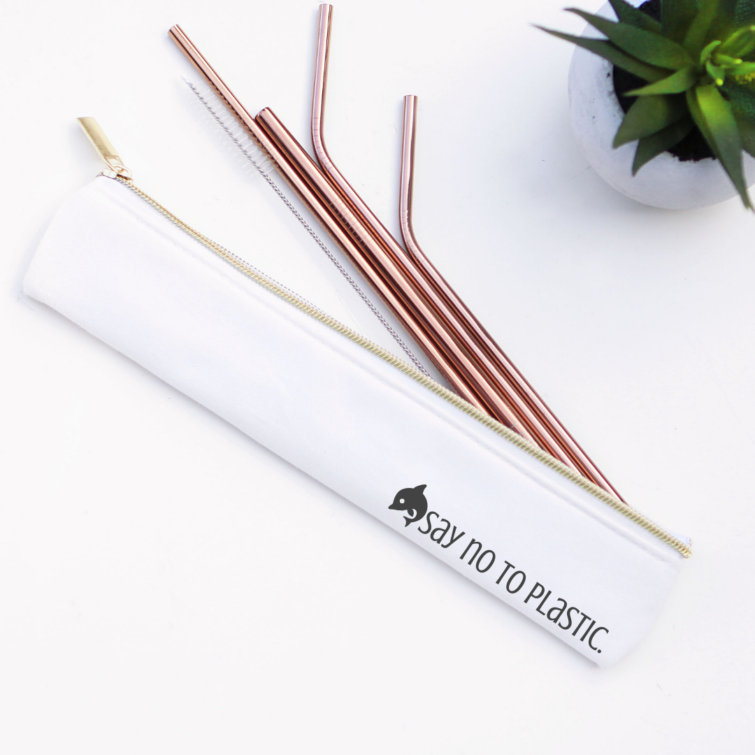 Say No to Plastic: Stainless Steel Metal Straw Set