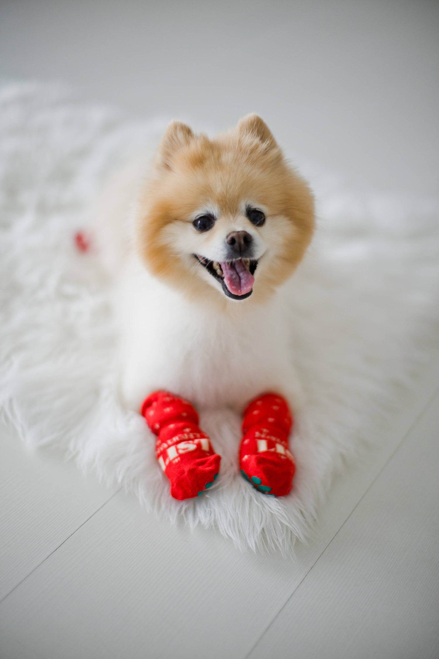 Pearhead - Nice & Naughty List Human & Dog Christmas Sock Set