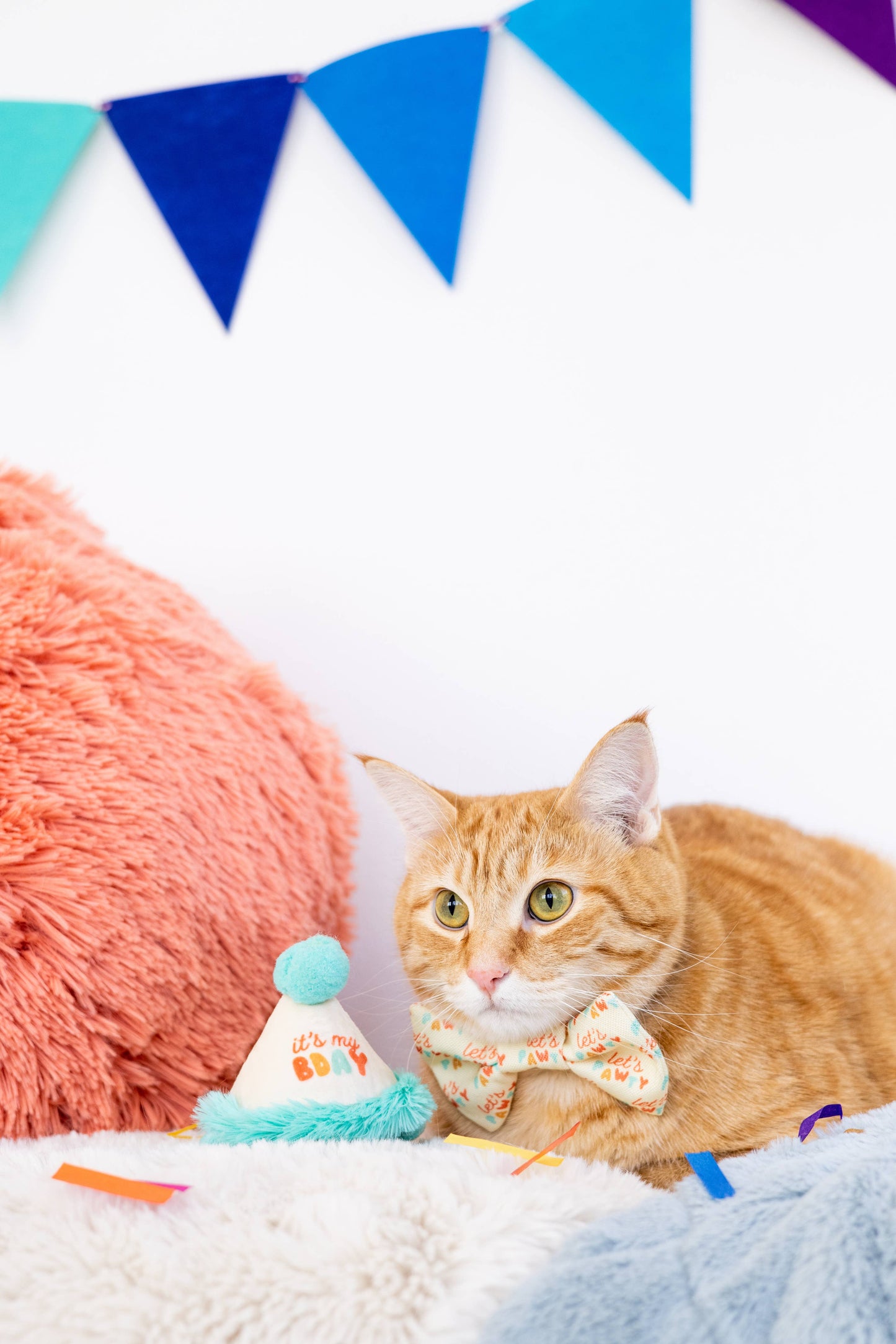Pearhead - Happy Purrday Cat Hat and Bowtie Set
