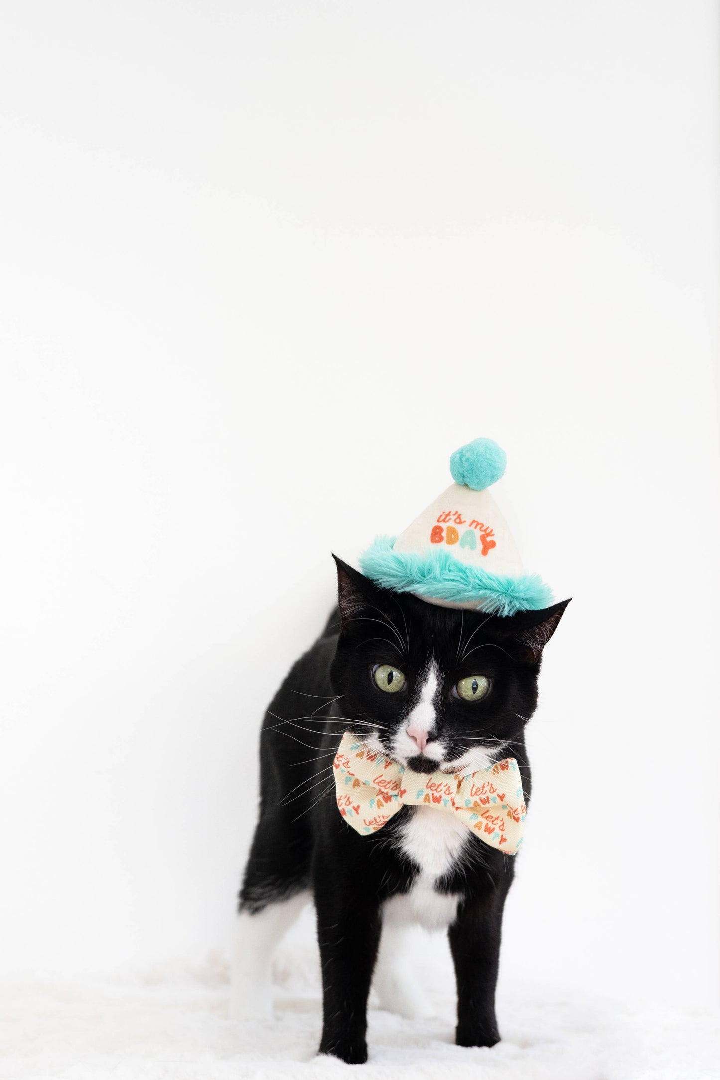 Pearhead - Happy Purrday Cat Hat and Bowtie Set