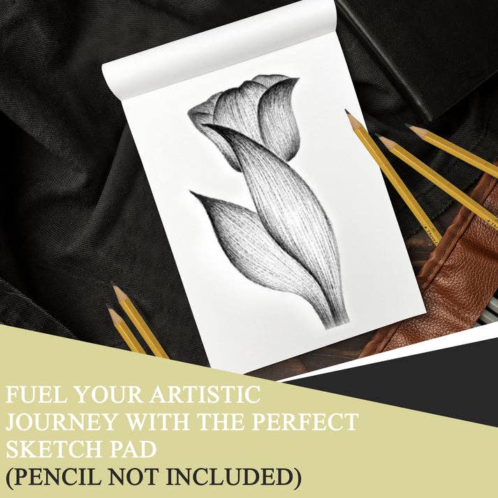 Three Leaf 9 X 12 Premium Sketch Pad 40 Ct. (Pack of 48)