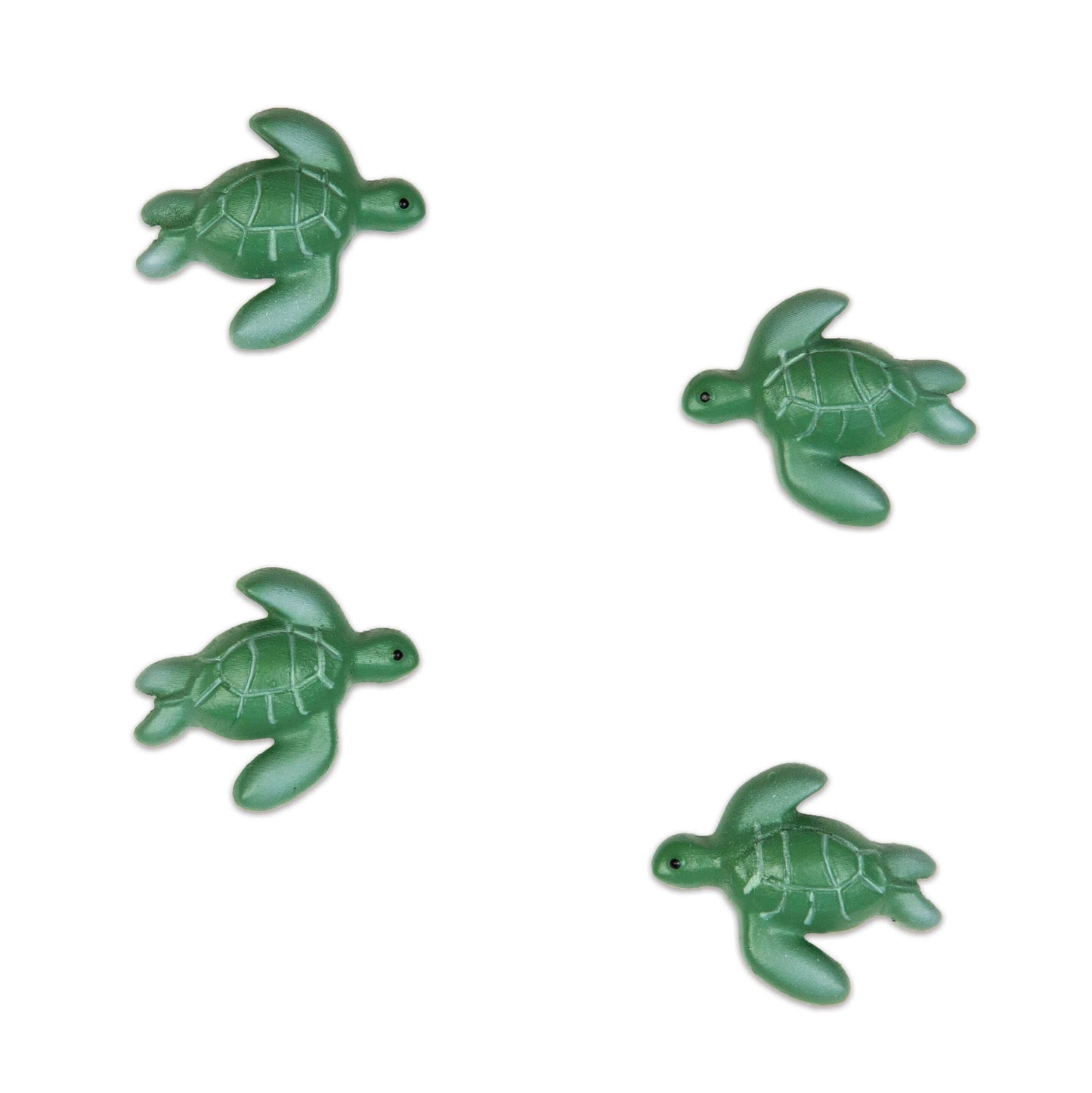 Turtle magnets