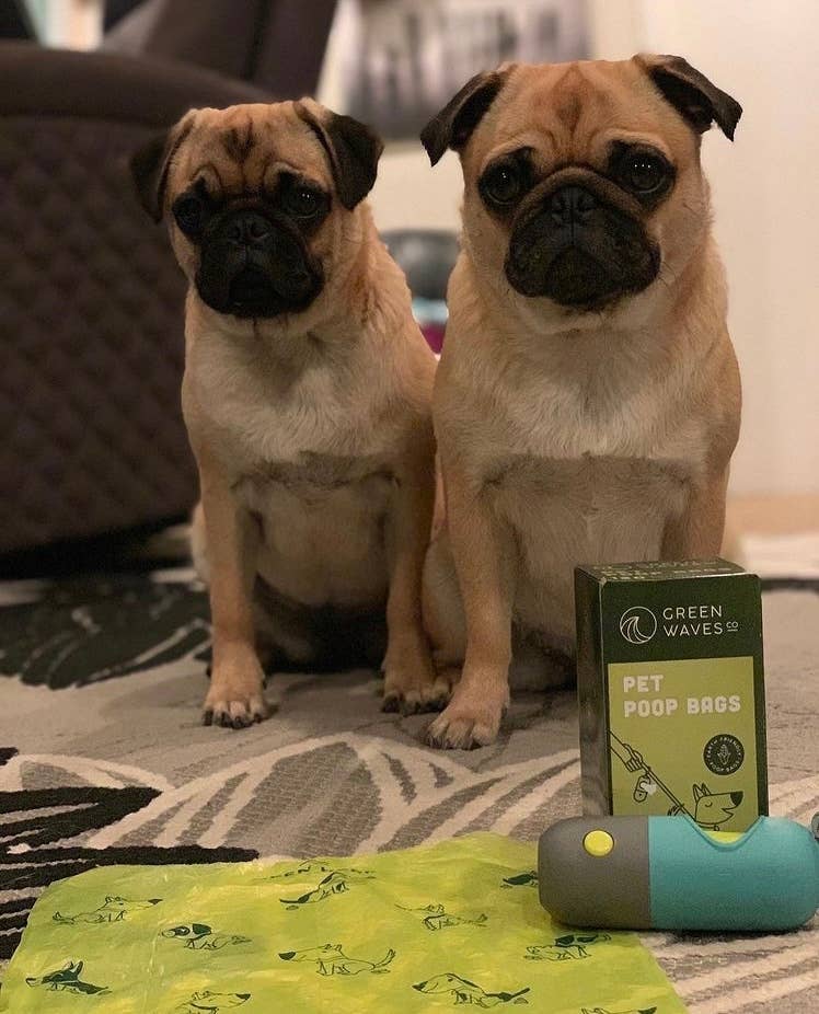 Green Waves Co. - Earth-Friendly Poop Bags Bundle
