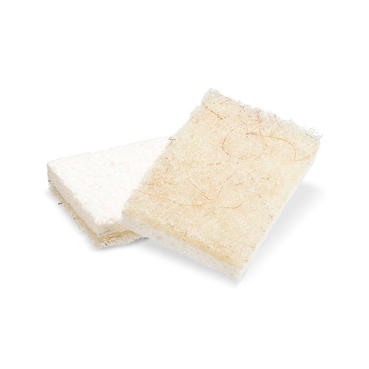 Full Circle Home - Coconut Husk Scrubber Sponge (2pk) in CDU