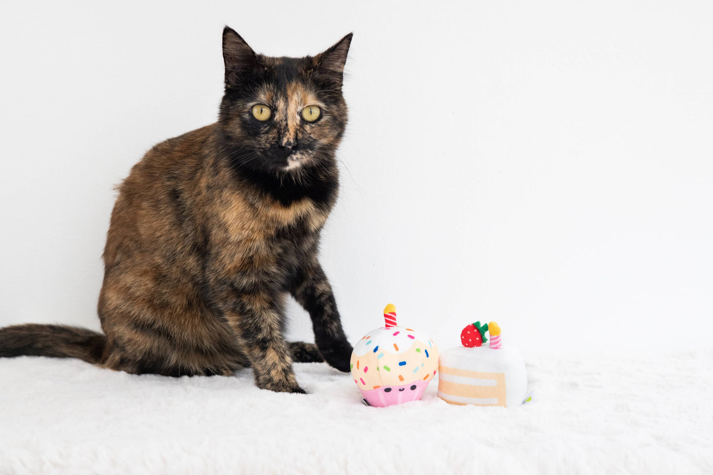 Pearhead - Birthday Cake Cat Toy Set