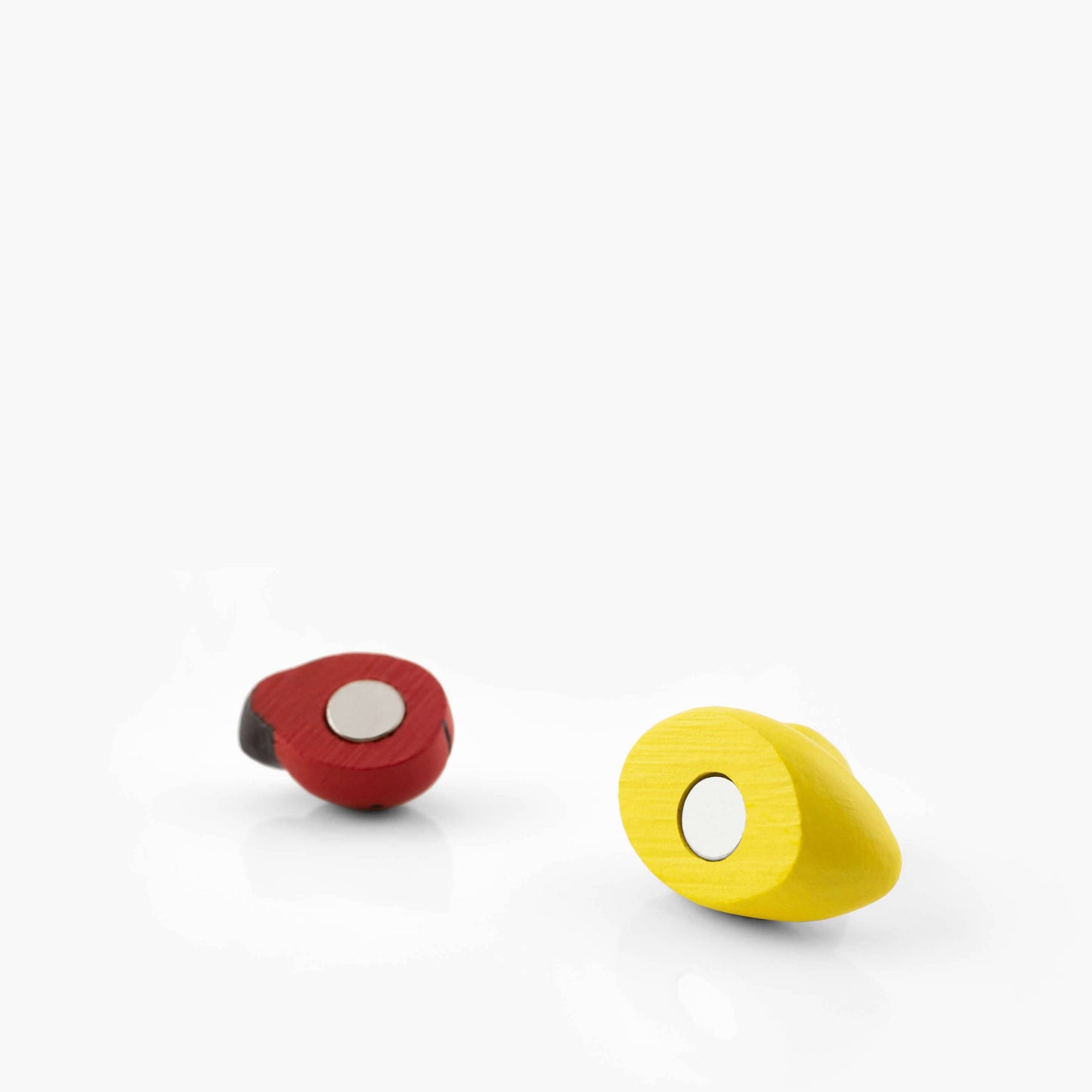 Colorful duck magnets
