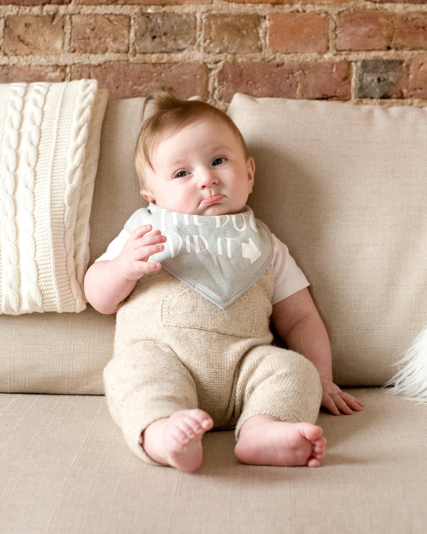 Pearhead - Baby And Pet Bib Set, Gray