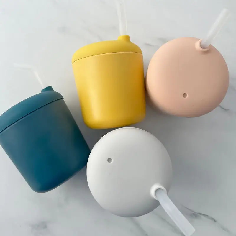 Sippy Cup with Straw - Blush