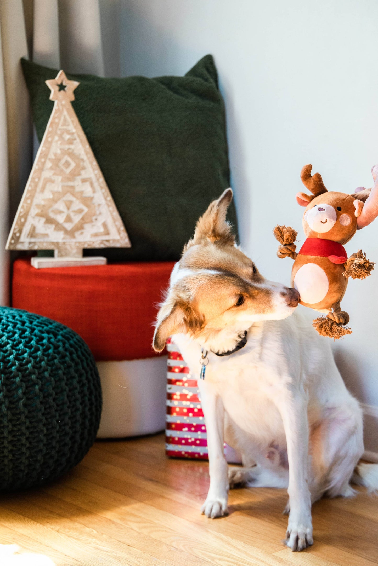 Pearhead - Reindeer Plush Rope Christmas Dog Toy, Holiday Pet Gift