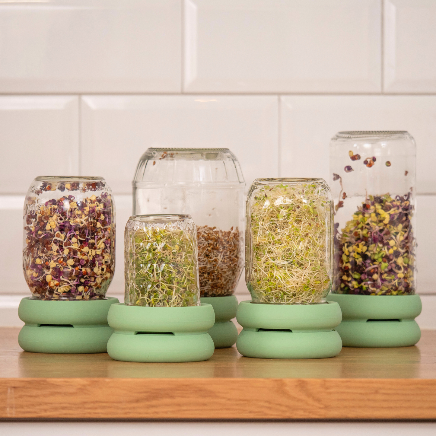 Food Huggers - Reusable Silicone Sprouting Lids
