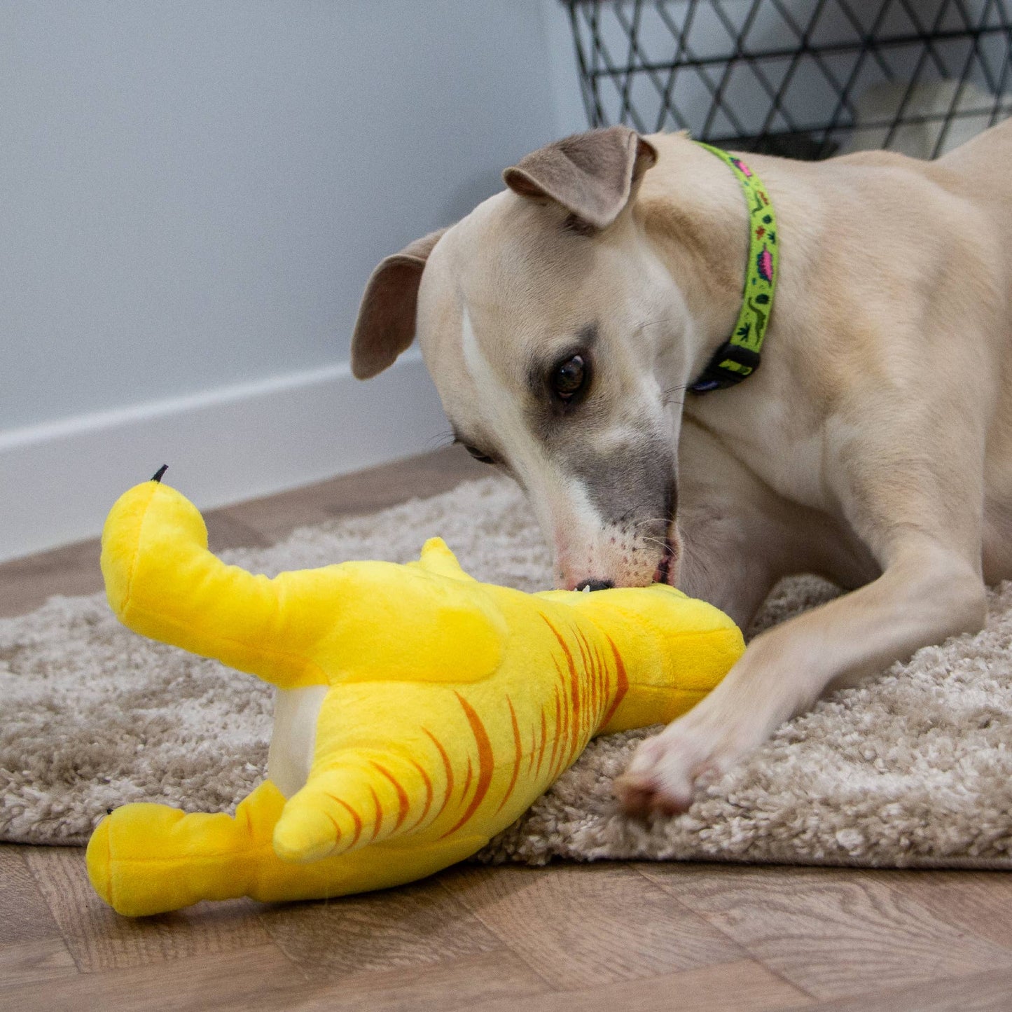 Play Time For Dogs - Cuddle Roarsome Dino