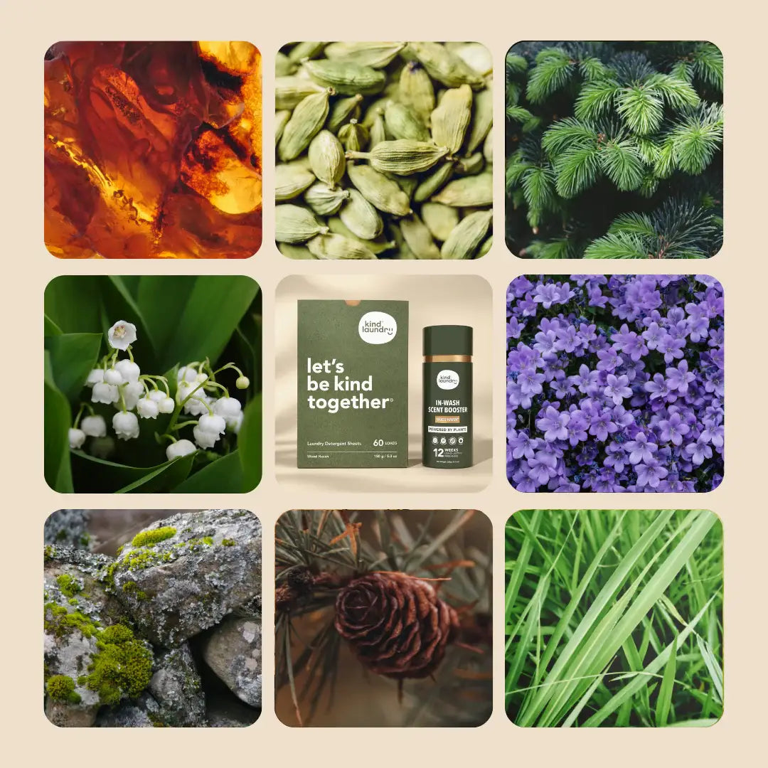 In Wash Scent Boosters - Wood Haven