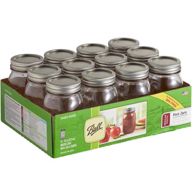 Everyday Supply Co - BALL - Ball Regular Mouth Mason Jar 16 oz 12 pk