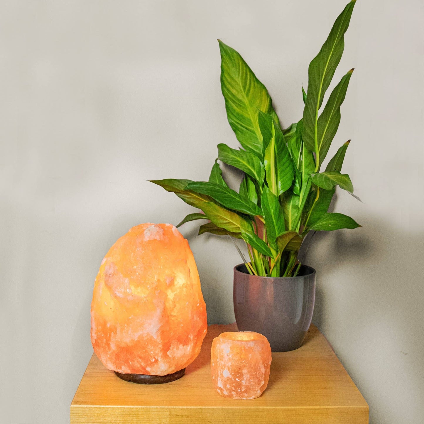 Myga - 1kg Single Himalyan Salt Candle Holder