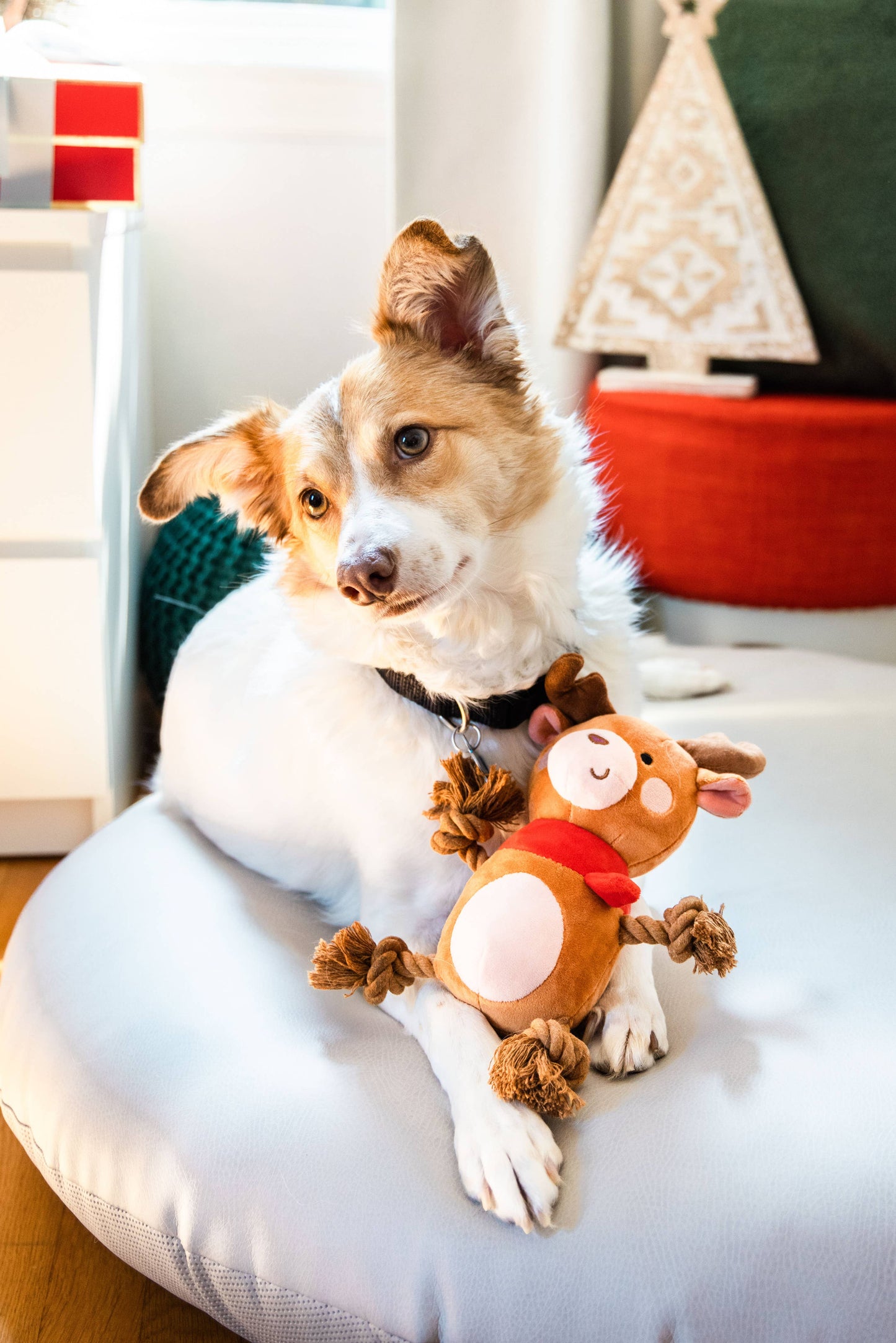 Pearhead - Reindeer Plush Rope Christmas Dog Toy, Holiday Pet Gift