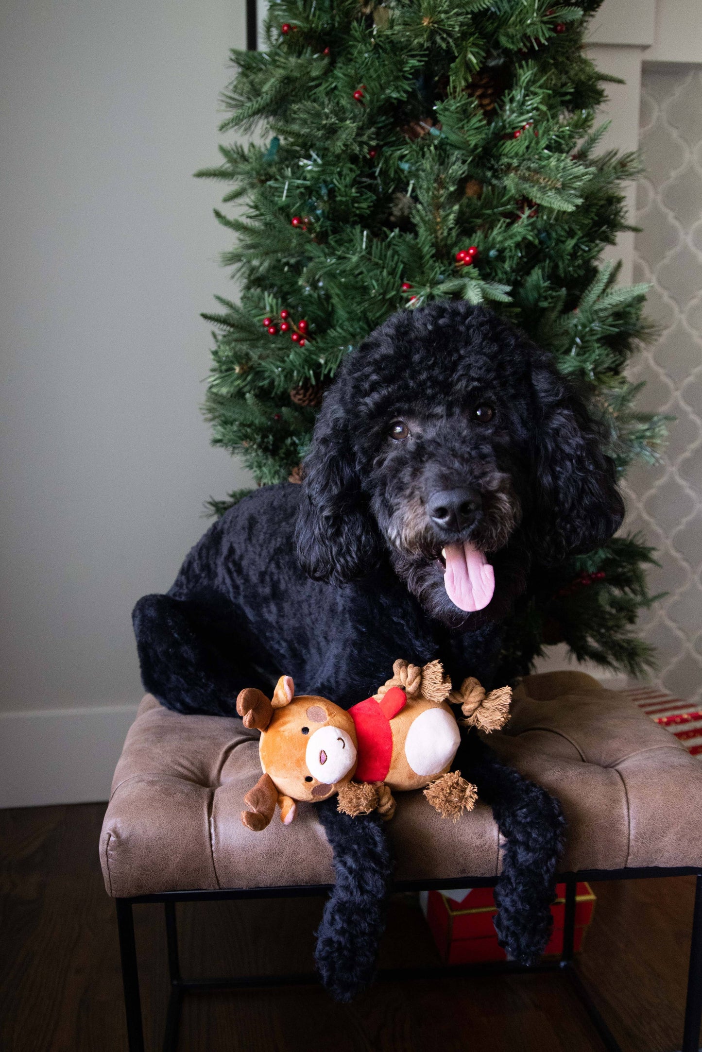 Pearhead - Reindeer Plush Rope Christmas Dog Toy, Holiday Pet Gift