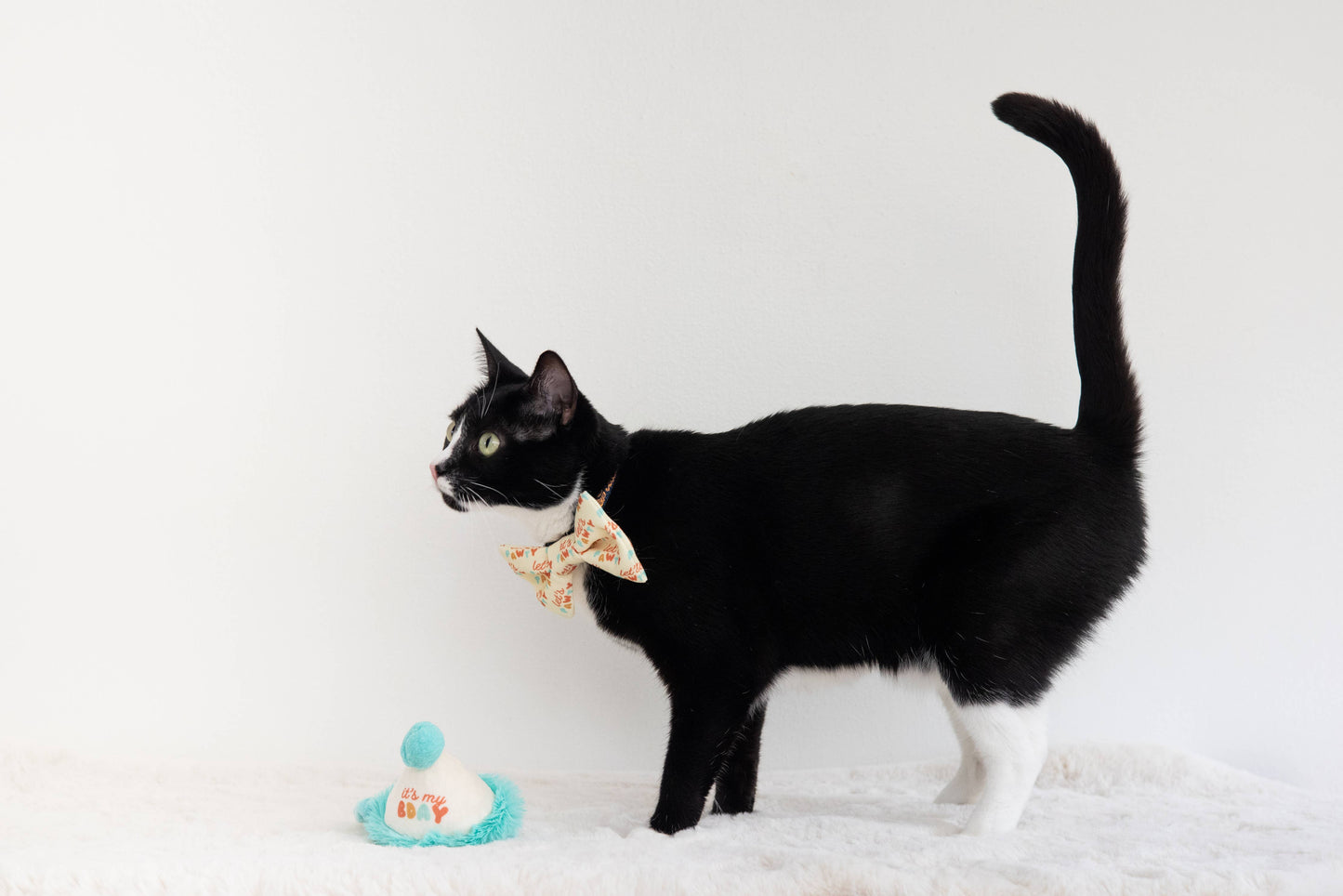 Pearhead - Happy Purrday Cat Hat and Bowtie Set