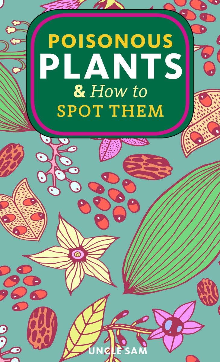 Microcosm Publishing & Distribution - Poisonous Plants & How to Spot Them (Zine)