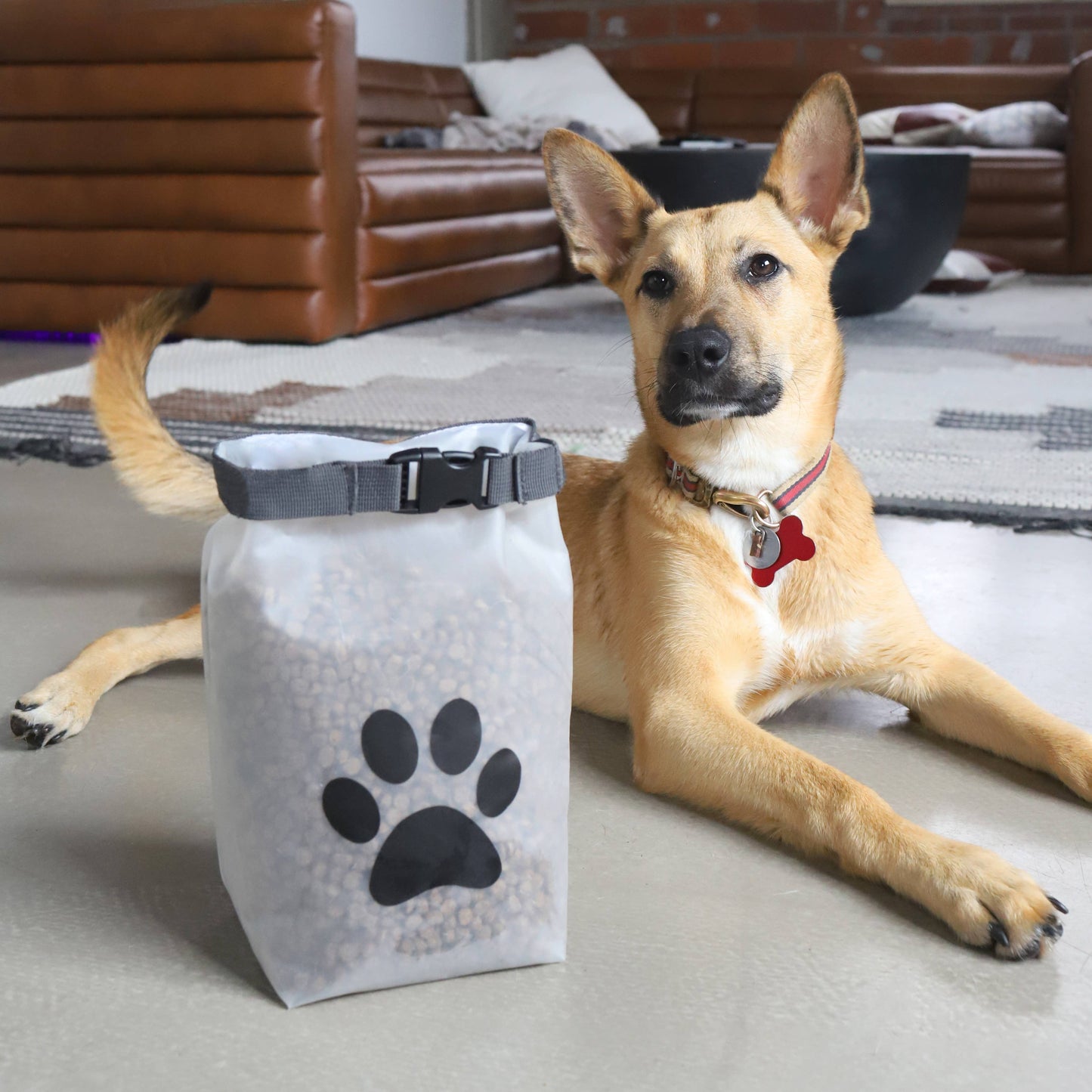 Reusable Roll Top Pet Food Storage Bag - Medium