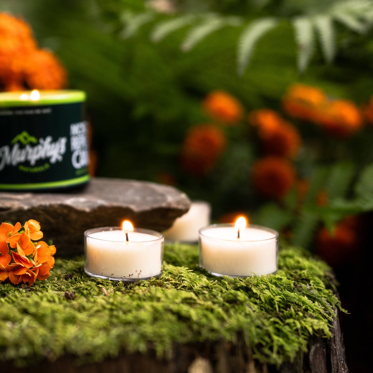 Murphy's Naturals - Mosquito Repellent Tea Light Candles