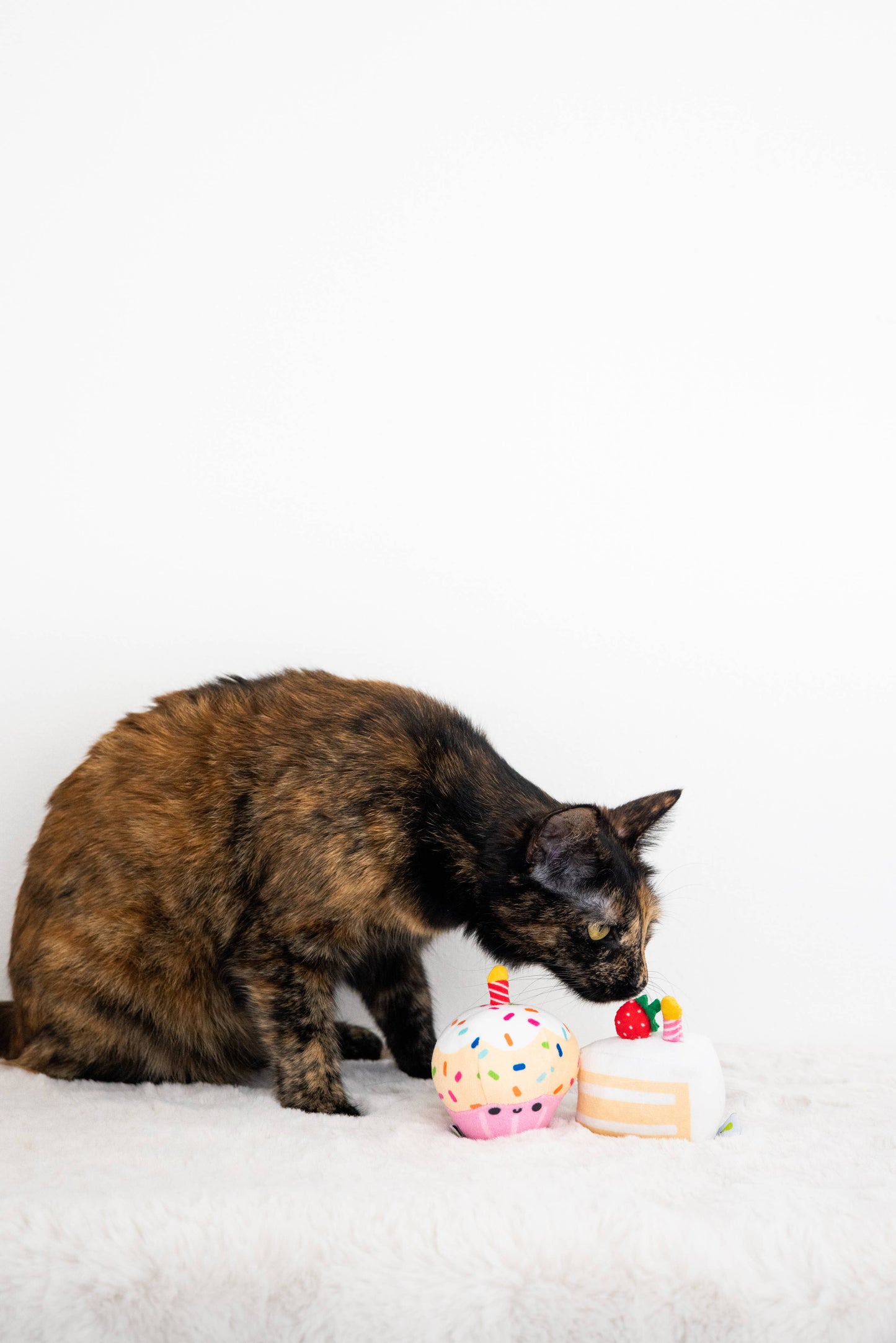 Pearhead - Birthday Cake Cat Toy Set