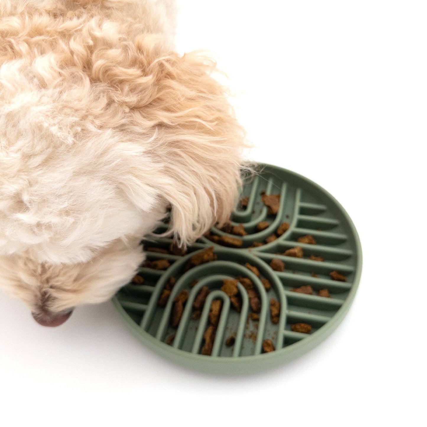 Green Waves Co. - Slow Feeder Dog Bowl with Suction Base