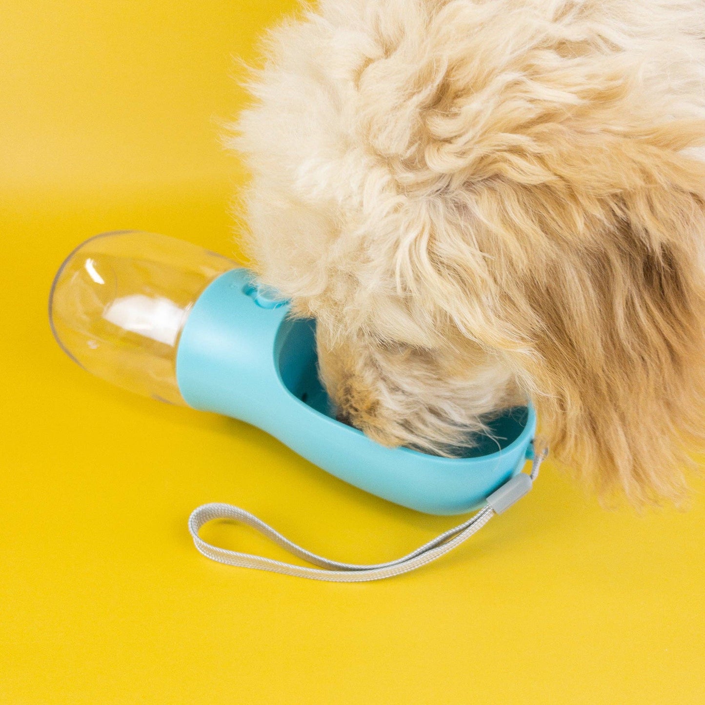 Green Waves Co. - Pet Water Bottle