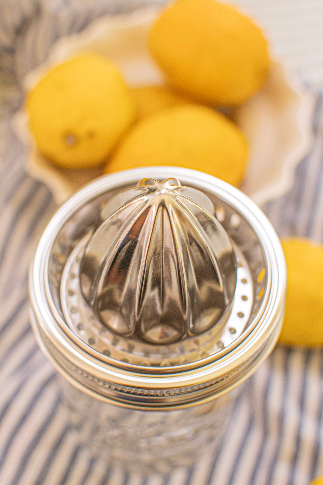 Stainless Steel Juicer - Wide Mouth