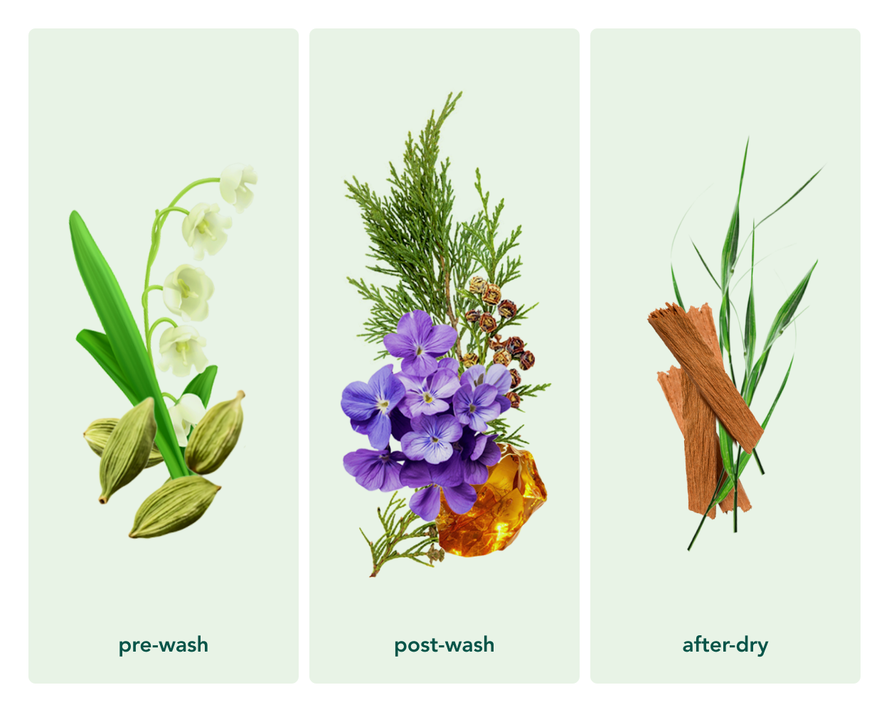 In Wash Scent Boosters - Wood Haven