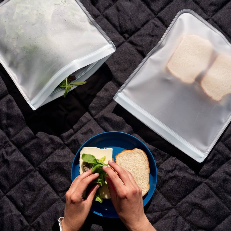 Reusable Flat Gallon Storage Bags - Clear - 2 Pack