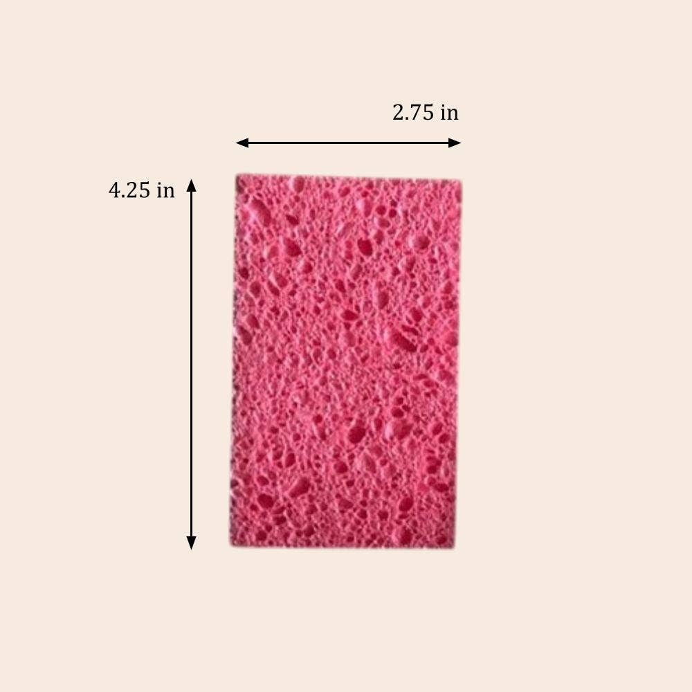 Compostable Cellulose Kitchen Sponge | Earth Day Bestseller