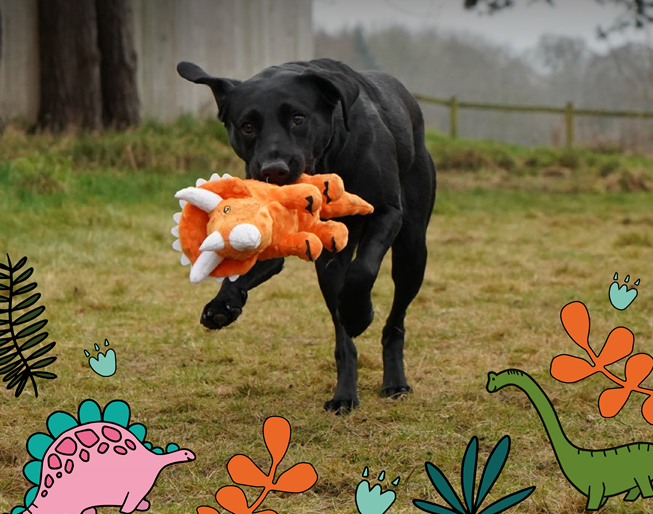 Play Time For Dogs - Cuddle Roarsome Dino