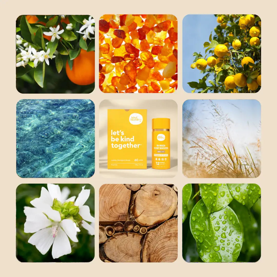 In Wash Scent Boosters - Neroli Zen